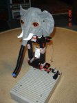 Elefant mit Vakuum-Rssel